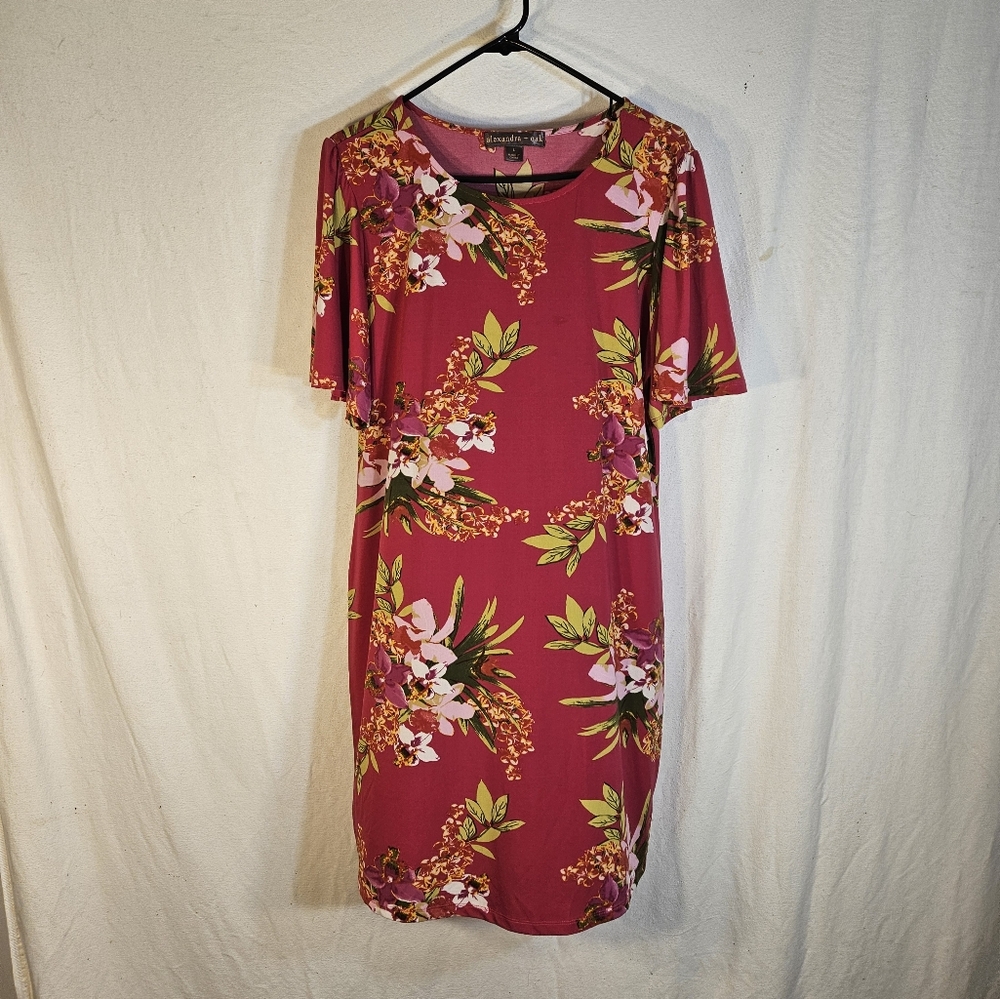 Women's Dress by Alexander + Oak size Large. Item #2099